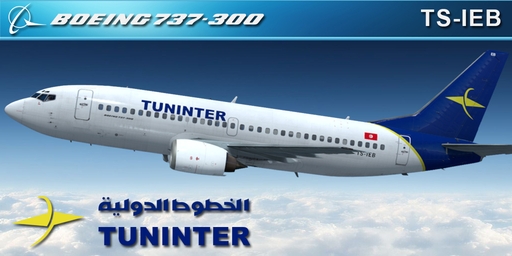CS 737-300 TUNINTER TS-IEB