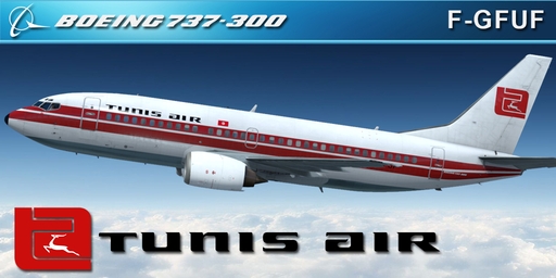 CS 737-300 TUNIS AIR F-GFUF