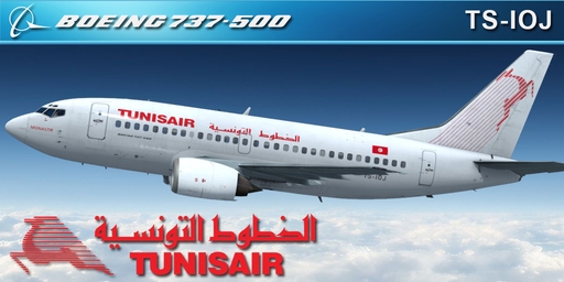 CS 737-500 TUNIS AIR TS-IOJ