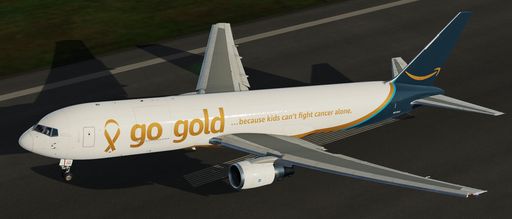 CS 767-300CF Amazon Prime Air Go Gold N313AZ