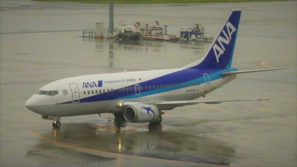 737-500__2_.jpg